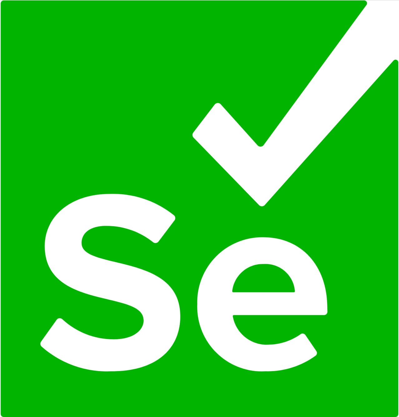 Selenium training